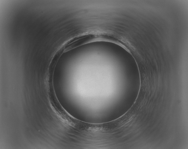 X0000073840440200608171011