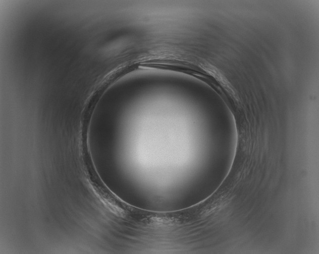 X0000073840442200608171011