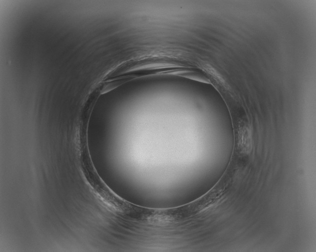 X0000073840444200608171011