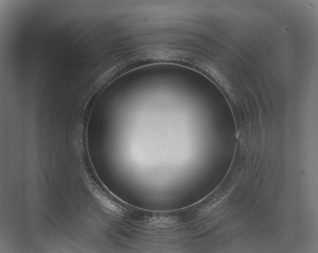 X0000073840445200608171011