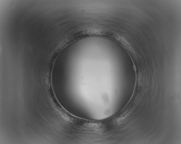 X0000073840449200608171011