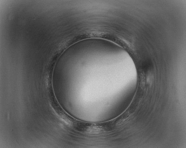 X0000073840451200608171011