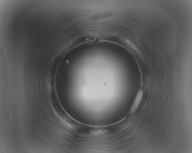 X0000073840452200608171011