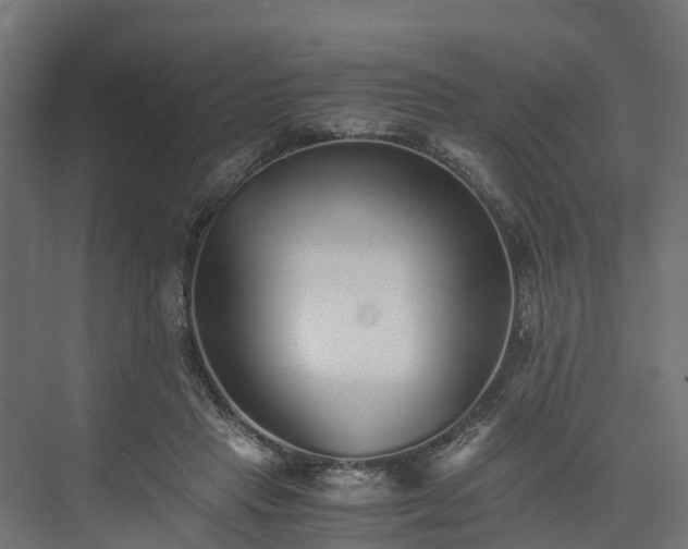 X0000073840453200608171011