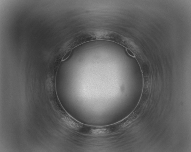 X0000073840461200608171011