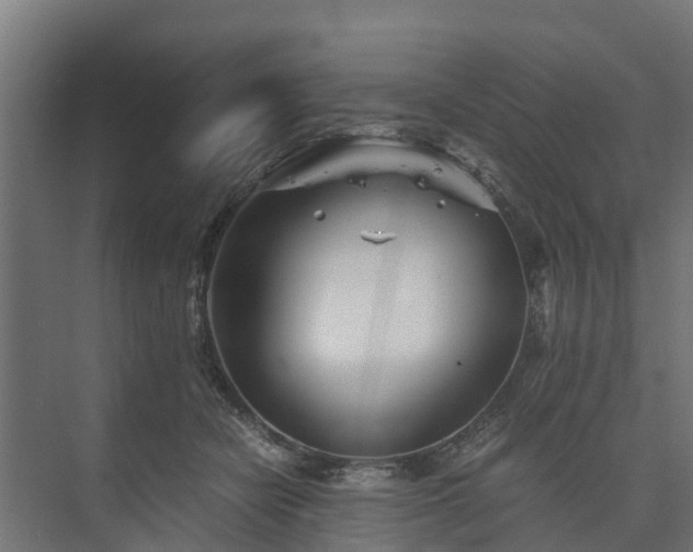 X0000073840462200608171011