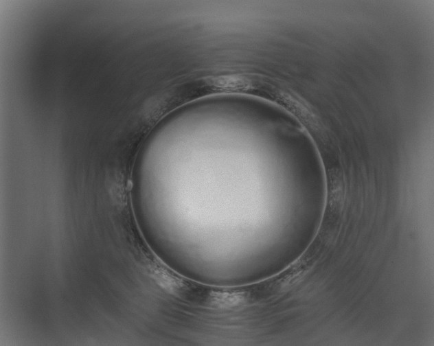 X0000073840469200608171011