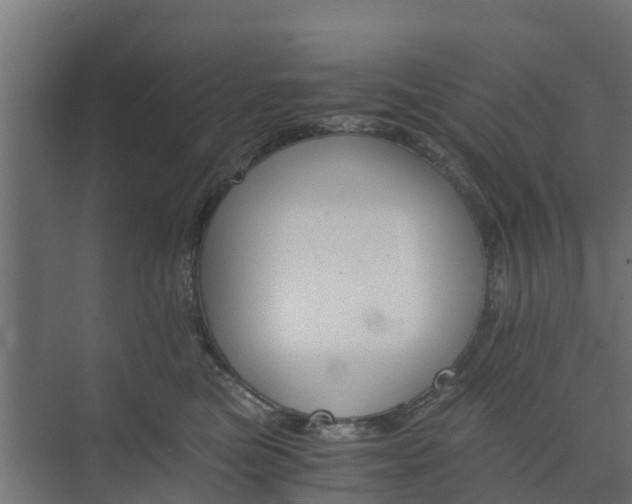 X0000073840473200608171011