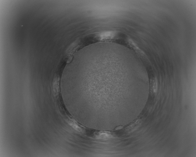 X0000073840475200608171011