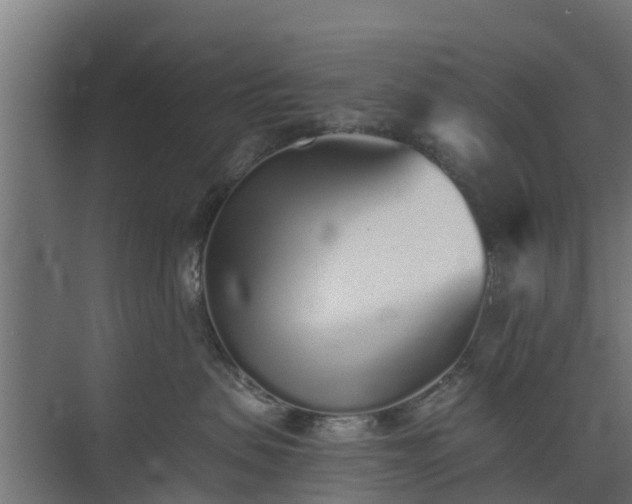 X0000073840479200608171011