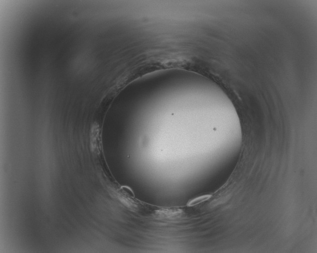 X0000073840480200608171011