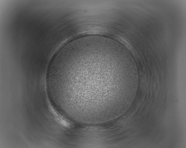 X0000073840482200608171011