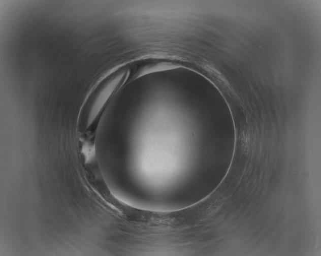 X0000073840484200608171011