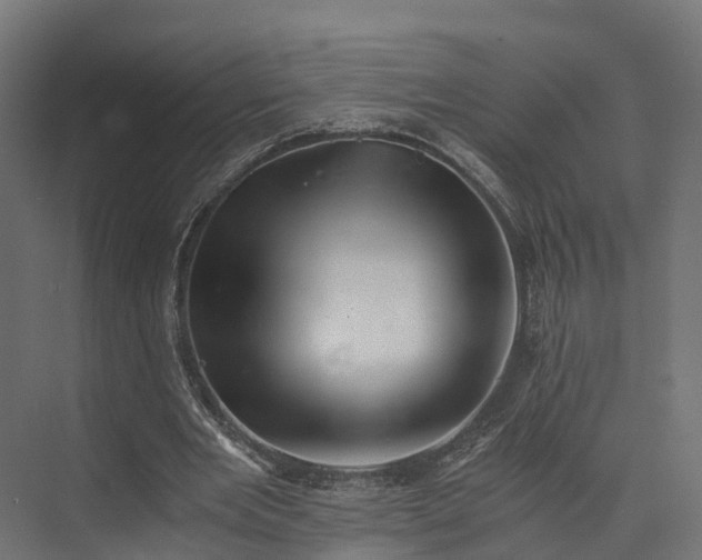 X0000073840485200608171011