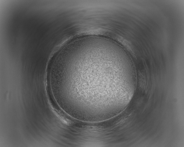 X0000073840486200608171011