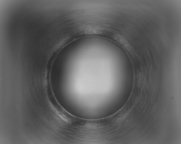 X0000073840490200608171010