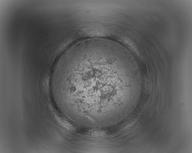 X0000073840491200608171010