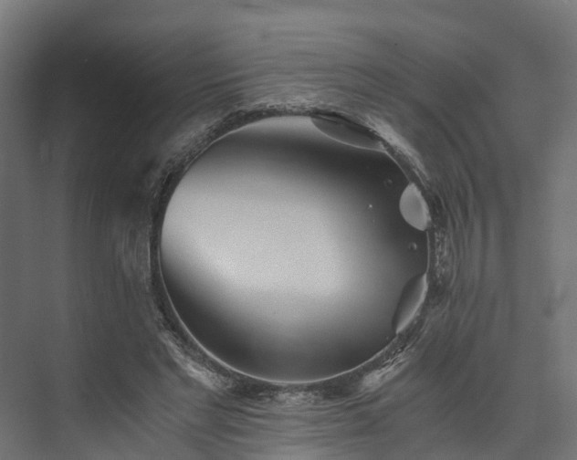 X0000073840493200608171010