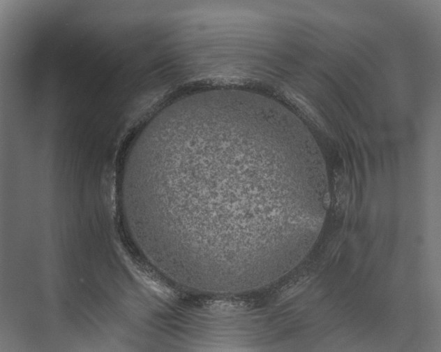 X0000073840494200608171010