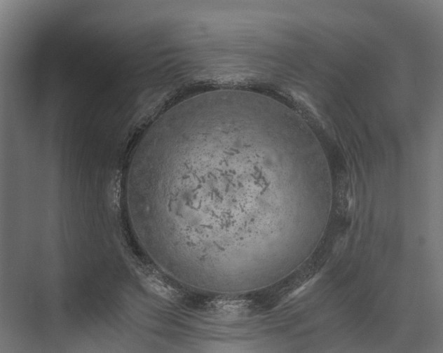 X0000073840495200608171010