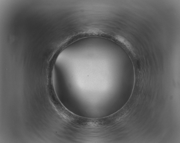 X0000073840496200608171010