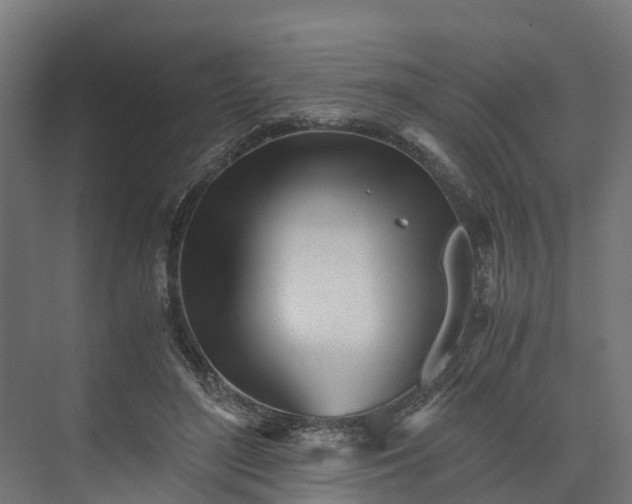 X0000073840500200608171010