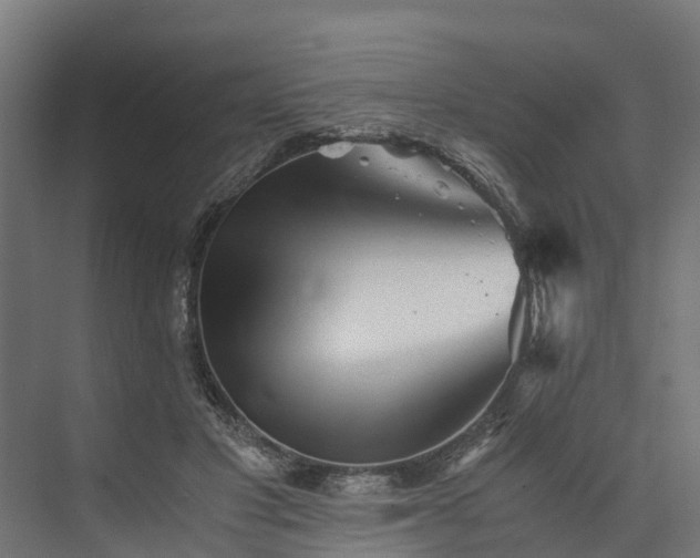 X0000073840501200608171010