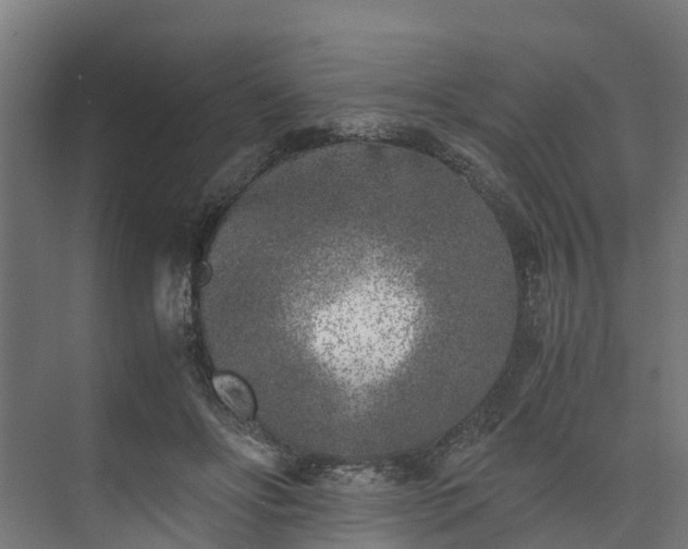 X0000073840502200608171010