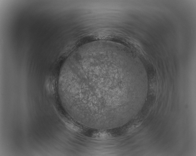 X0000073840503200608171010