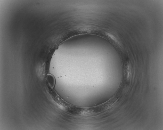 X0000073840504200608171010