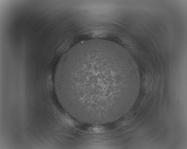 X0000073840506200608171010