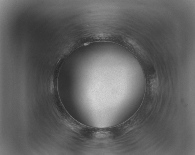 X0000073840508200608171010