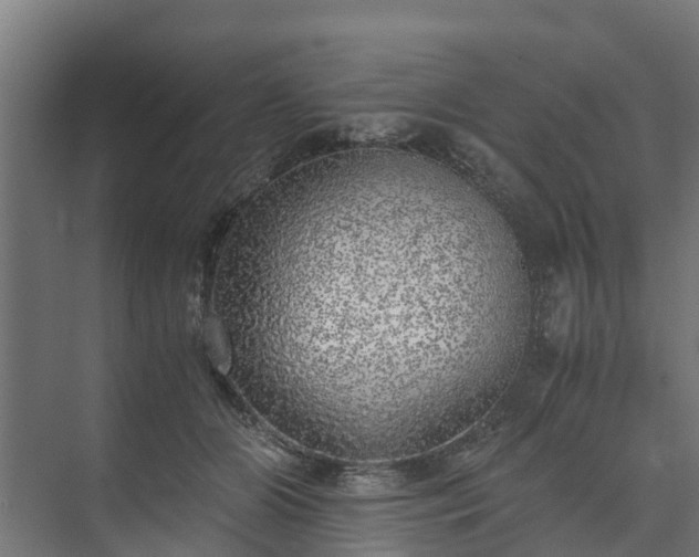 X0000073840510200608171010