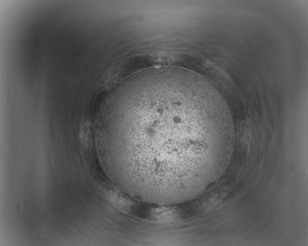 X0000073840511200608171010