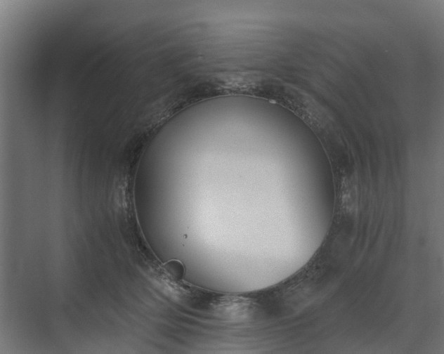 X0000073840514200608171010