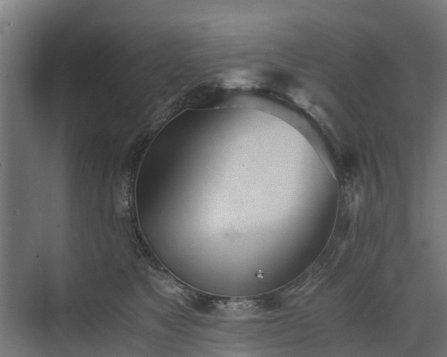 X0000073840517200608171010