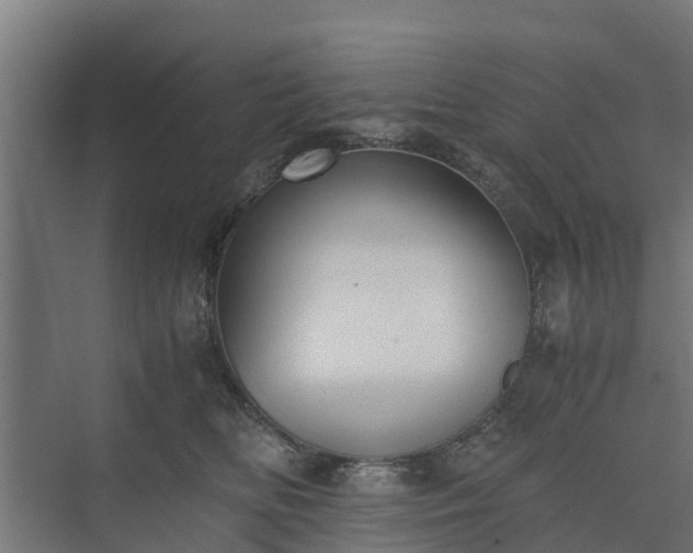 X0000073840518200608171010