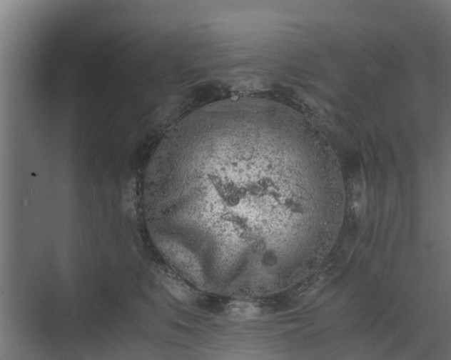 X0000073840519200608171010