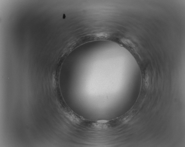 X0000073840520200608171010