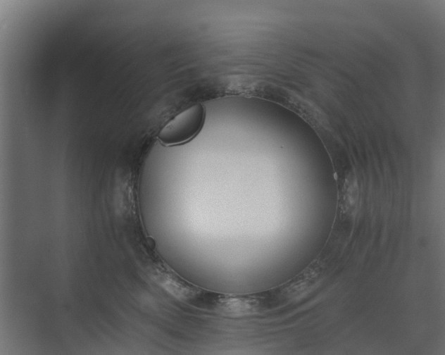 X0000073840522200608171010