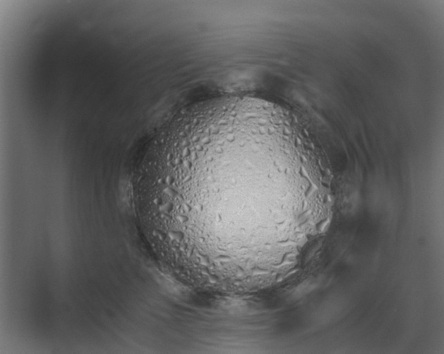 X0000073840523200608171010