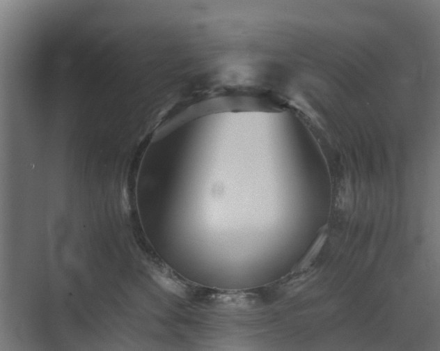 X0000073840524200608171010