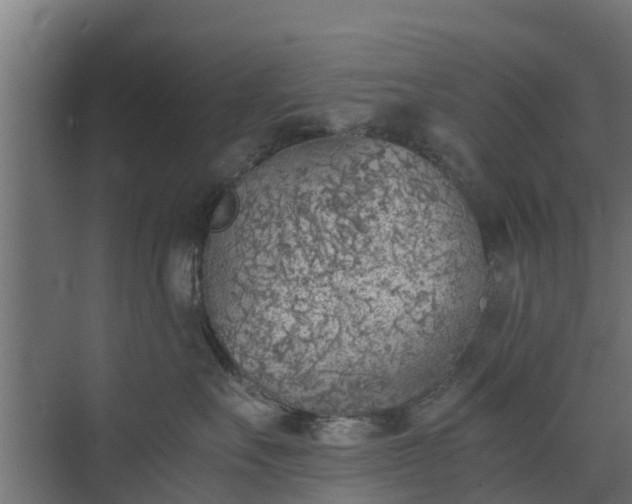 X0000073840527200608171010