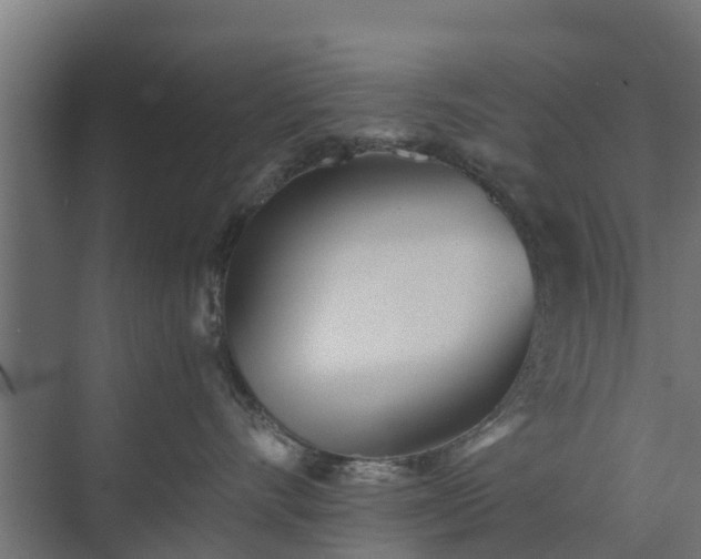 X0000073840528200608171010