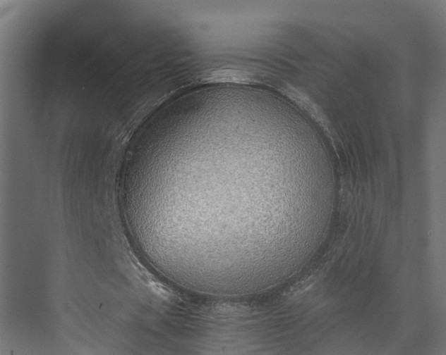 X0000073840529200608171009