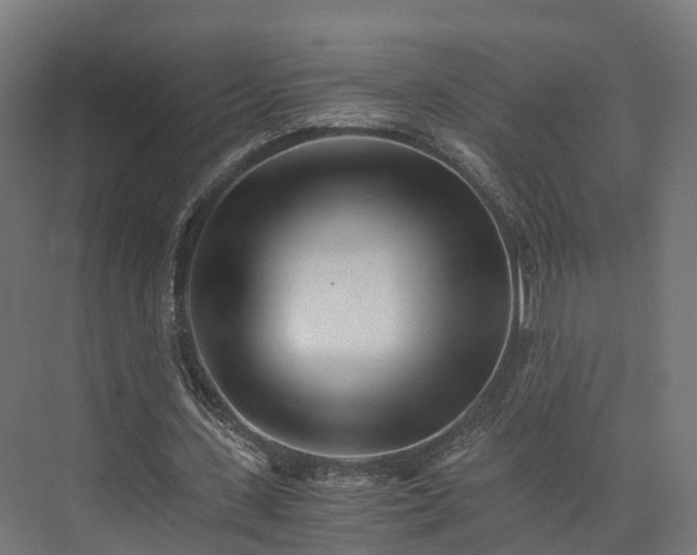 X0000073840531200608171009