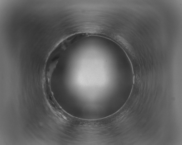 X0000073840532200608171009