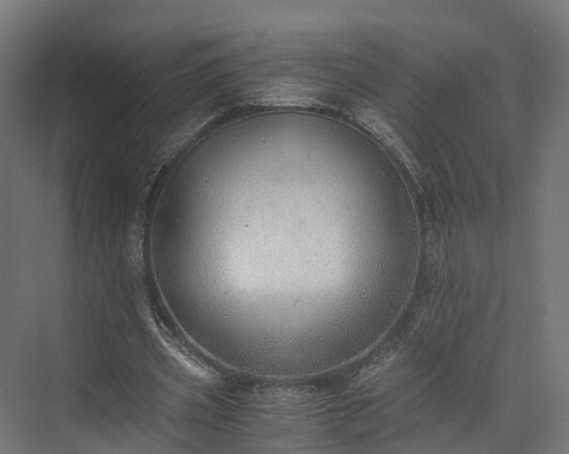 X0000073840533200608171009