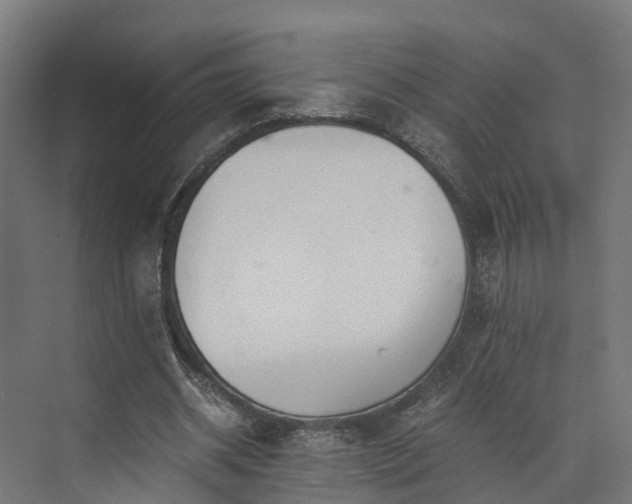 X0000073840534200608171009