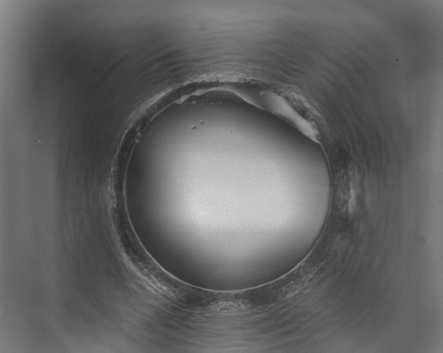 X0000073840536200608171009